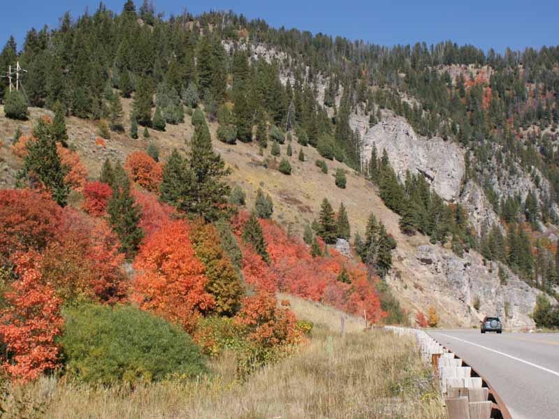 thingstodonearjacksonholehiking Flying Saddle Resort