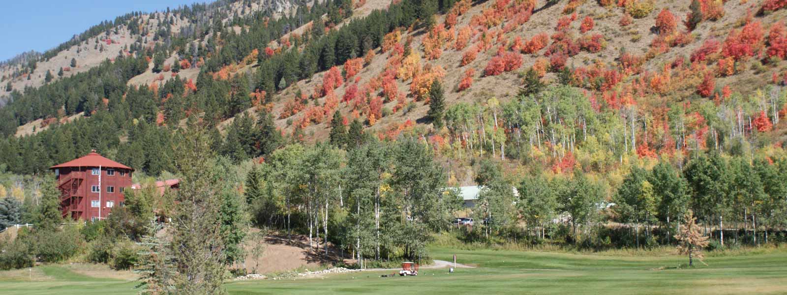 alpine-wy-hotels-rates-header - Flying Saddle Resort