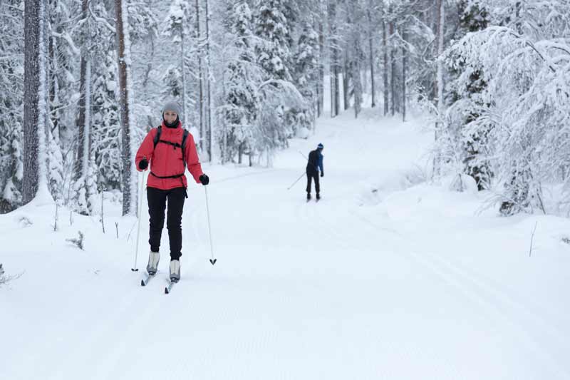 cross country skiing jackson hole activities