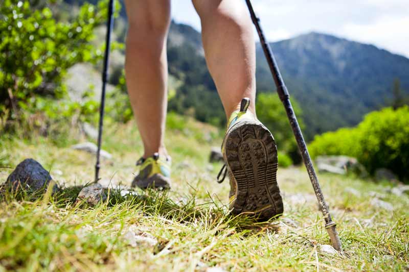 hiking jackson hole activities