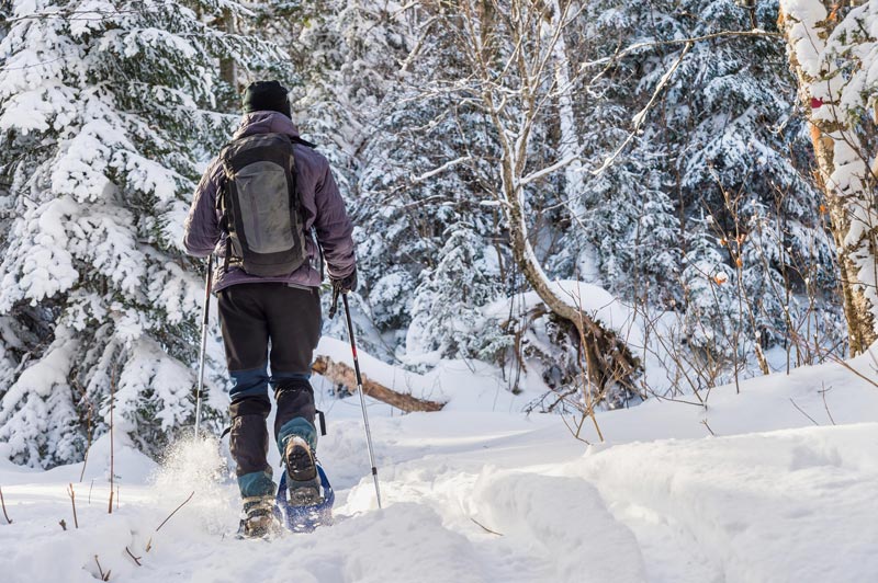 snowshoeing snowmobiling in wyoming