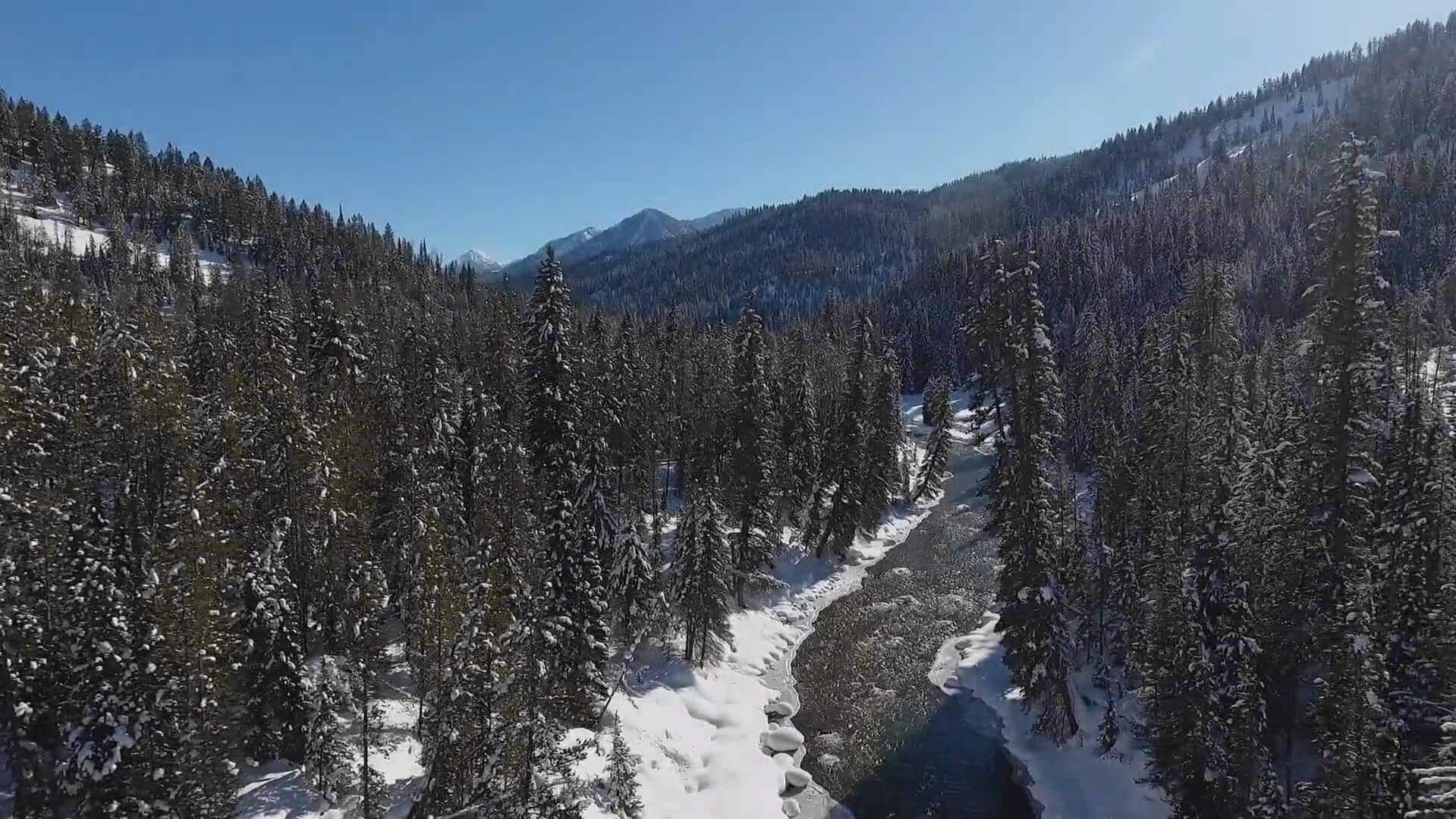 Flying Saddle Resort Hotel in Alpine, Wyoming Near Jackson Hole
