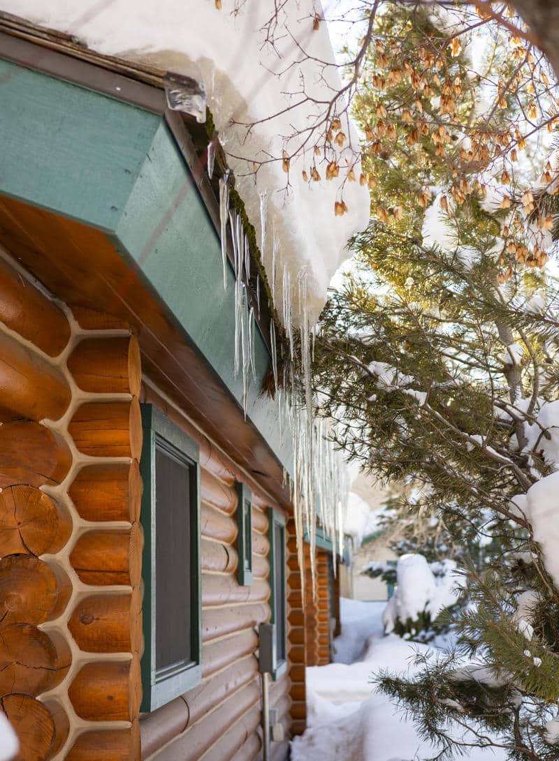 Flying Saddle | 2025